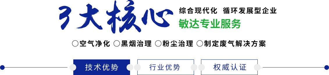 大鸡鸡插死我视频敏达环保科技（嘉兴）有限公司